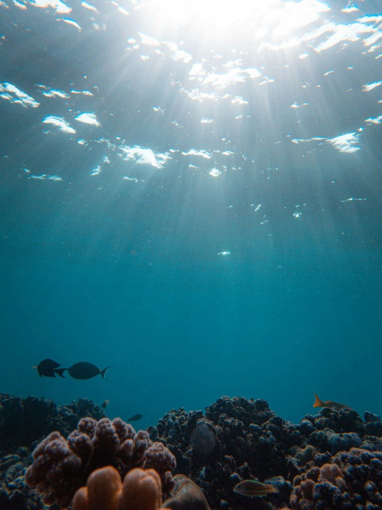 Ocean underwater view of sunbeams, coral, and fish.